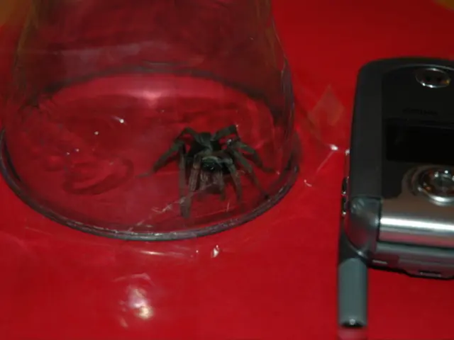 Course on Advanced Cancer Research via Single-Cell Analysis, Conducted Online