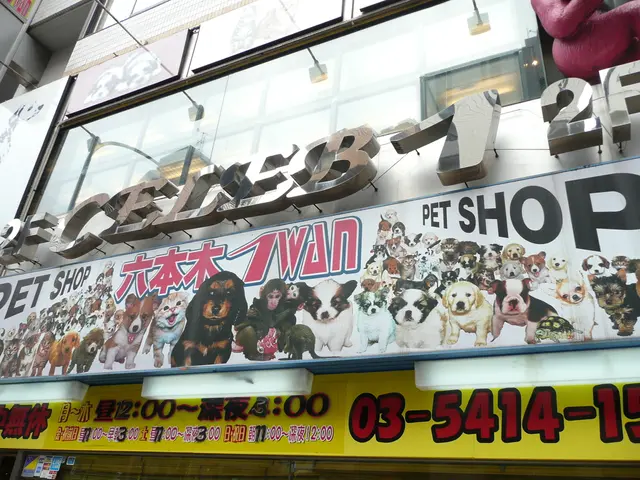 "Project in Wuppertal receives backing from LuckSpirale"