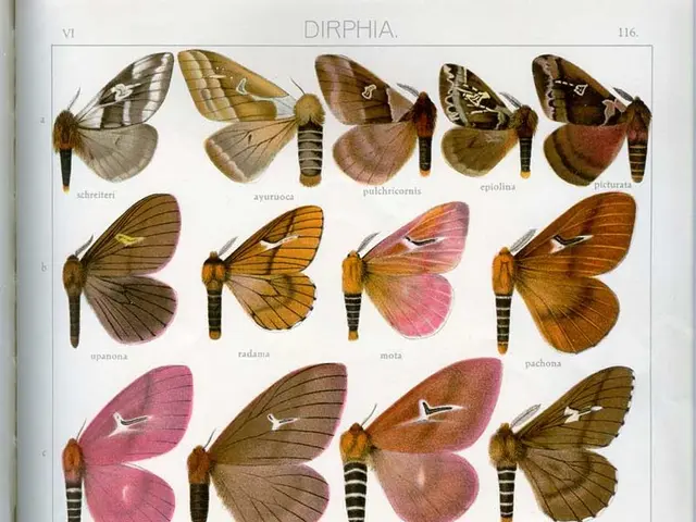 Randomness and Creativity: Boosting Problem-Solving through Unpredictability