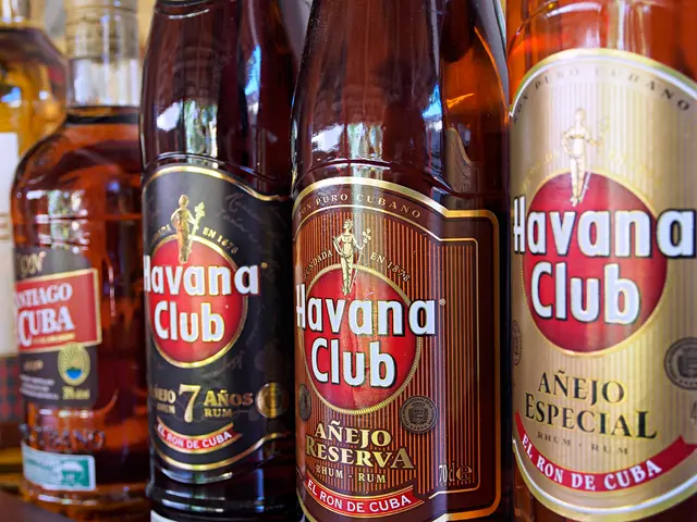 Contemplating the Idea of Sipping Beverages Enhanced with CBD and Hemp?