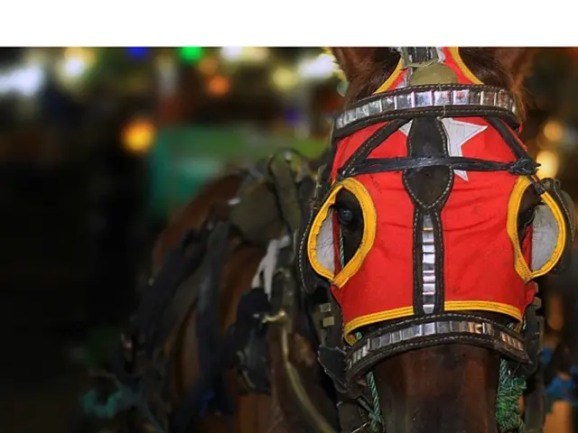 Struggling family teeters on the brink of homelessness following job centre's financial halt