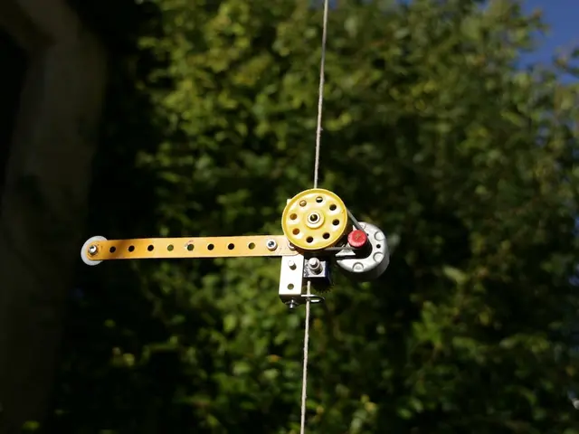 Long-standing TAVR head Larry Wood steps down, leaving Edwards without a key figures.