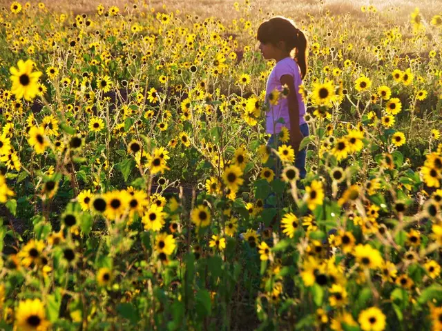 Sun Protection Tips for Lip Oil Usage: Guidance from a Skin Specialist