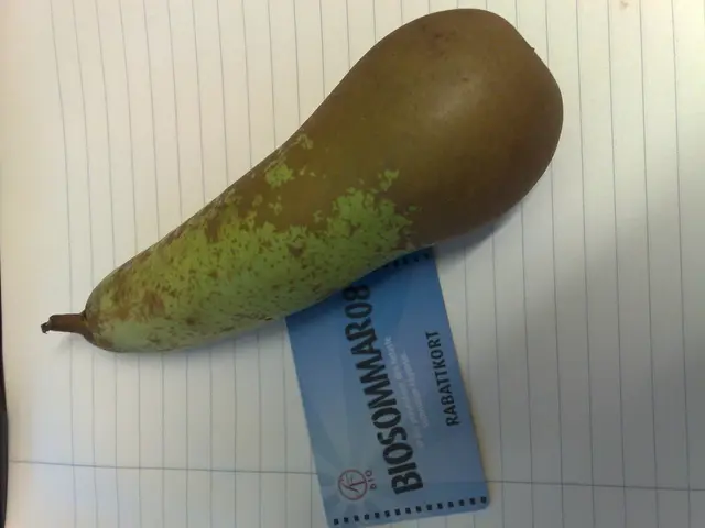 Gonococcal Arthritis Exploration: Causes, Signs, and Remedies