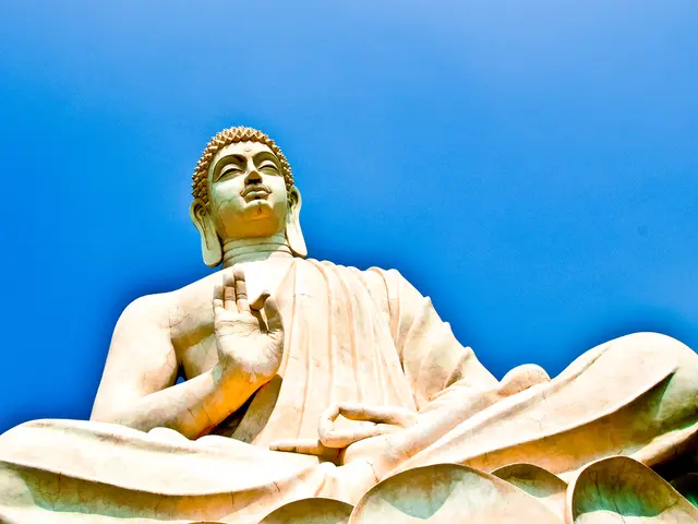 Exploring the Impact of Meditation on the Human Brain