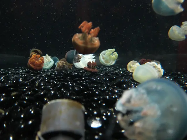 Individual succumbed to Vibrio illness