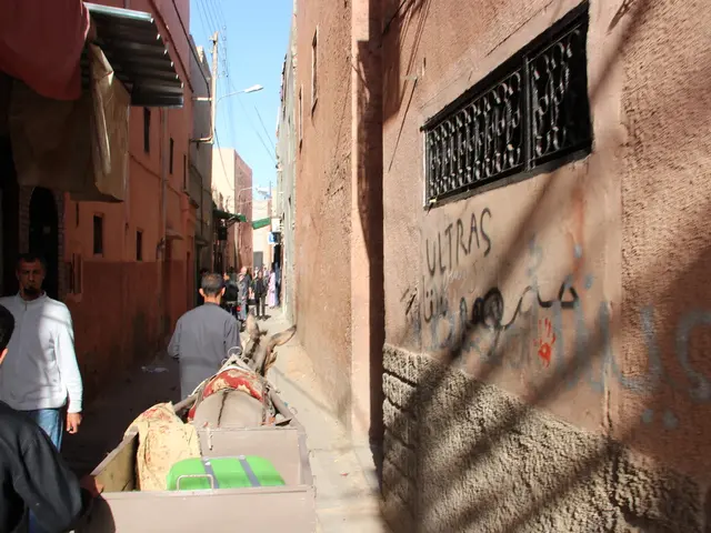 Israel's Gaza conflict denounced by Norwegian humanitarian leader as the devastation of a...