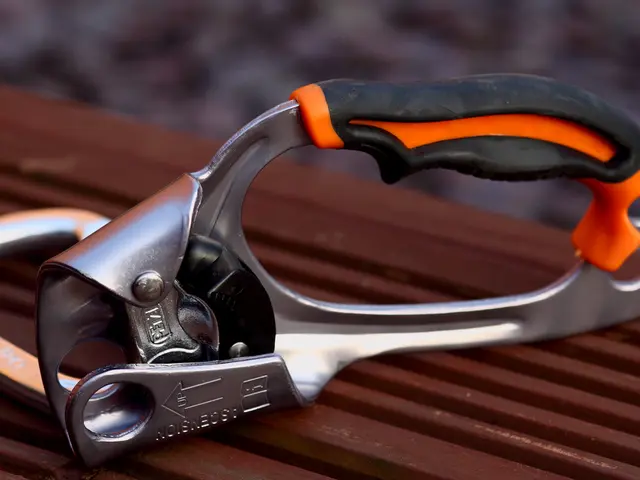 Microscopes Automated: Transforming the Realm of Research and Examination