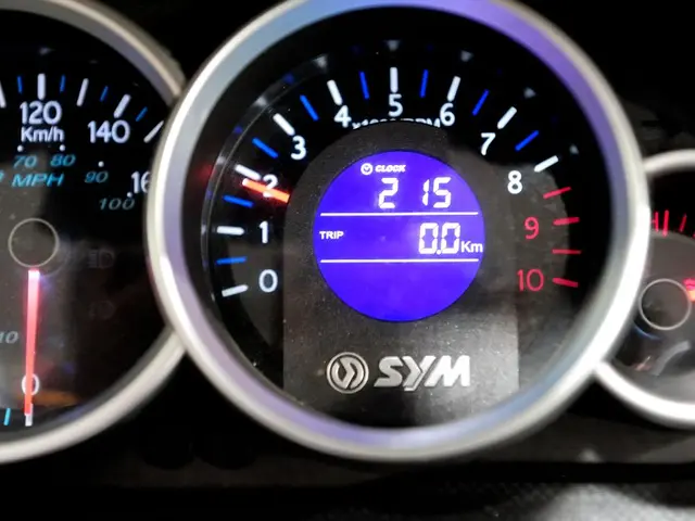 Understanding Bradycardia: A Look at Slower-Than-Normal Heart Rate Conditions