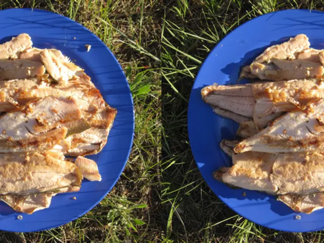 Artificial Beef, equipped with genuine muscle fibers, advances further towards edible burgers...