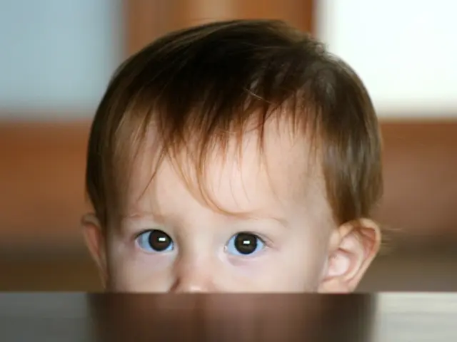 Research Finds association Between Neurological Conditions and Pre-Birth Developmental Processes