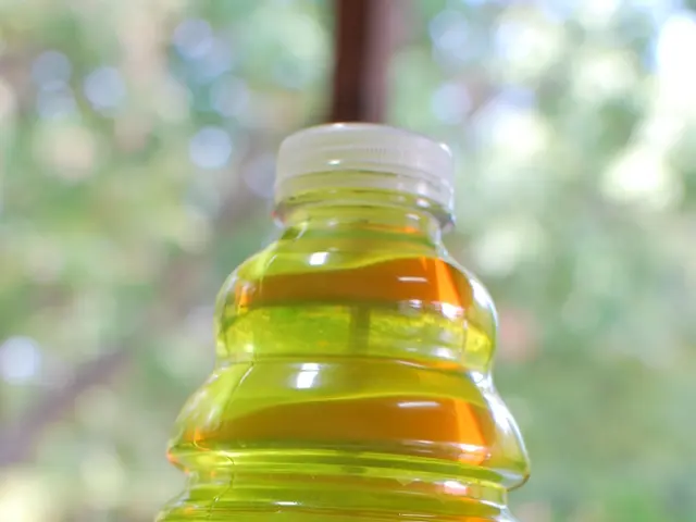 A Comprehensive Overview of Shedding Pounds Without Restrictive Eating Habits