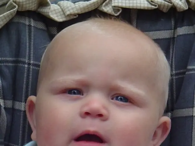 Woman from New Zealand conceals infant in a luggage case; discovered safe and sound.