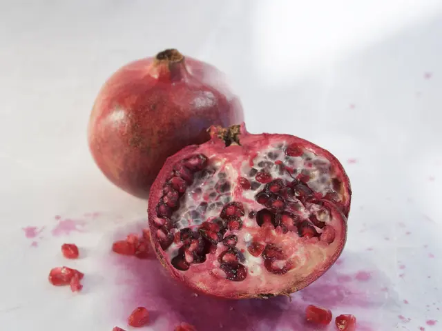 Abnormal Red Blood Cell Shapes: Recognizing Varieties, Signs, and Remedies