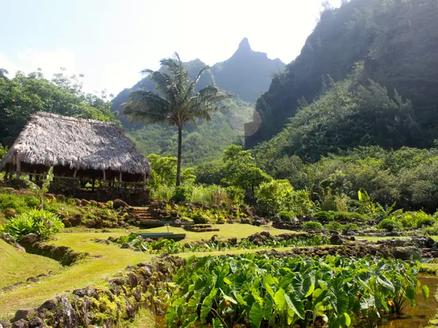 "Bhavleen Kaur Sethi's Broken Heart Syndrome Analysis"