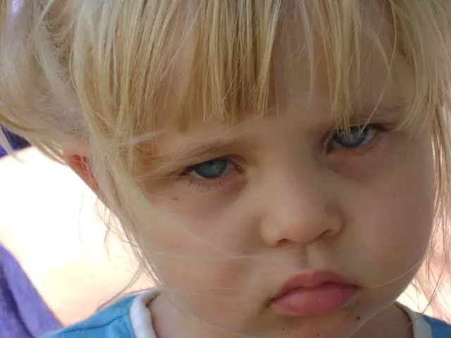 Elements Impacting a Judge's Decision Regarding Child Custody