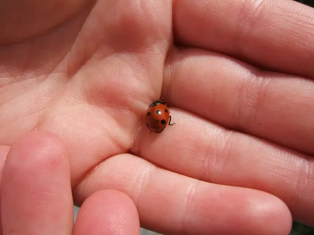 Understanding Motor Neuron Disease: An Overview