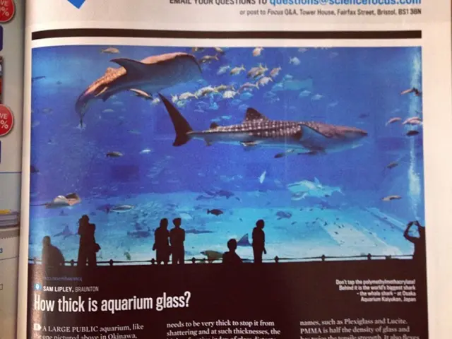 Elderly individual exhibits cognitive abilities akin to a 50-year-old, attributed to the...