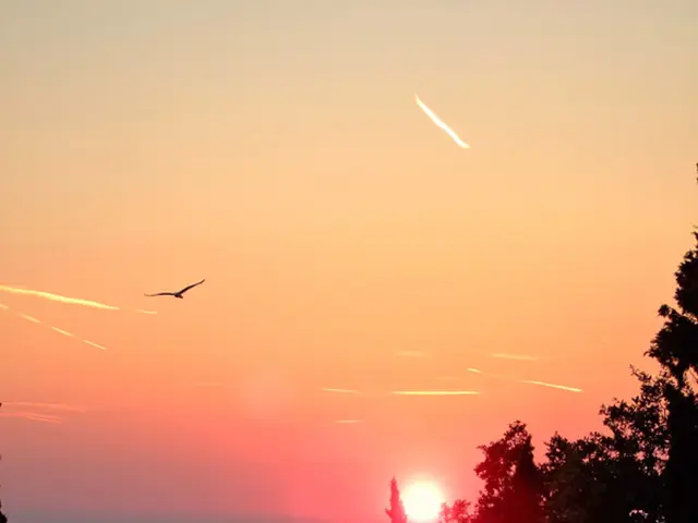 Uncovered New Route for Long-Term Memory Retention