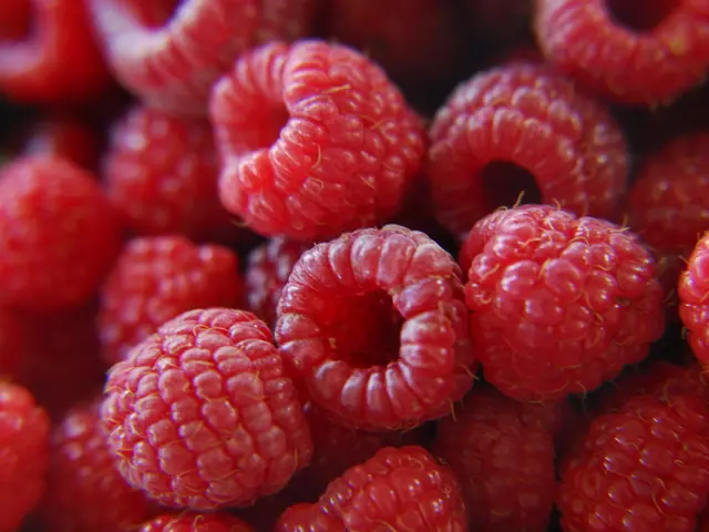 Red Rust Development Lags Behind on Red Raspberries