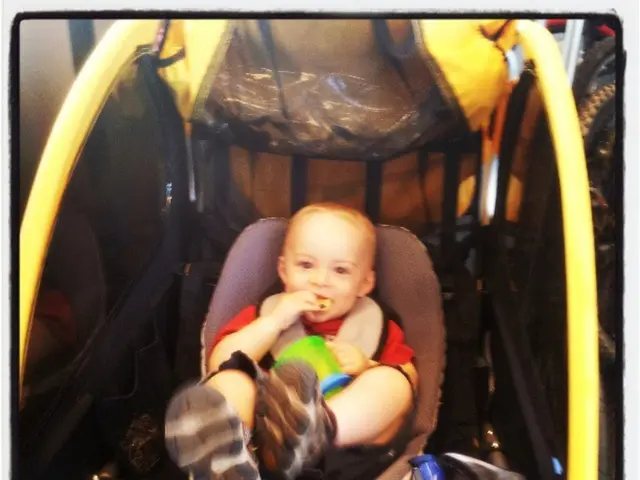 Toxic Substances Leading to Undetected Epidemic of Brain Injuries