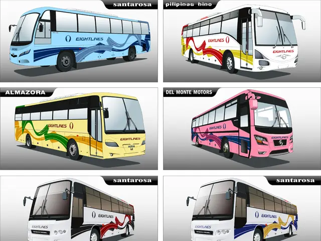 High-capacity buses and coaches accommodating over 30,000 passengers annually