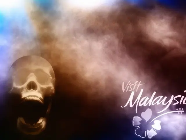 Cancer of the sinuses: Initial indicators, signs, and prognosis