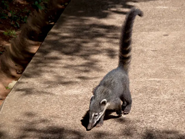 Folic acid benefits and dosage for managing sickle cell disease