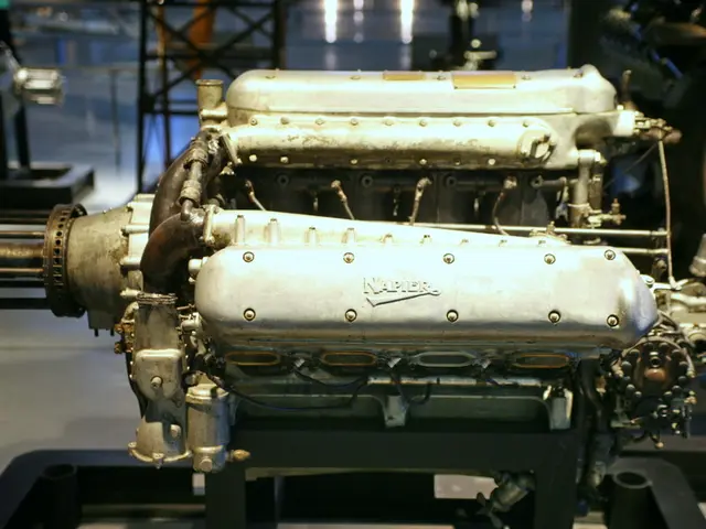 Google's AI accelerator program welcomes Daiser as its newest participant