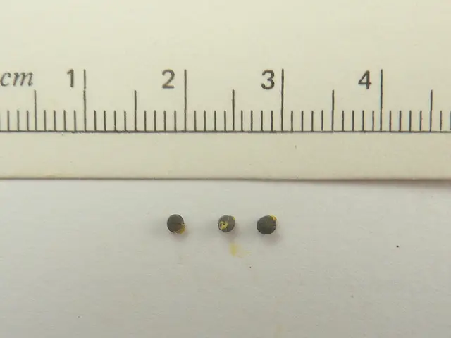 Number of 8-Ball Count per Pound: A Detailed Dissertation