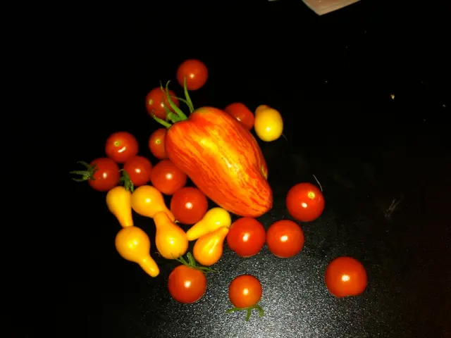 Avocados Touting Nutritional Strength: Elevating Dietary Approaches by Serving as a Premium Source...