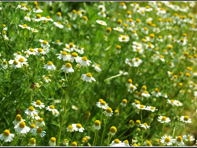 Financial grant of £1.26M given to QV Bioelectronics to progress research in novel brain cancer...