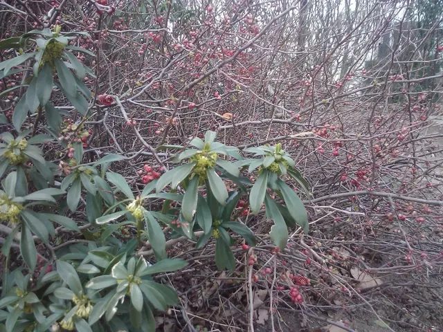 Right-sided Endometriosis discomfort: Causes and Further Explanations