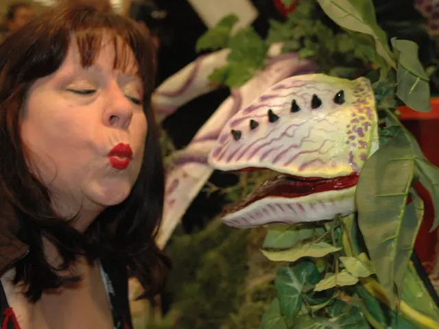 Impact of Sinus Issues on Sexual Intimacy, and Suggested Solutions Explored