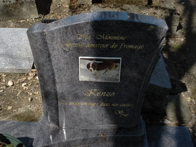 Apparition's Significance and Its Delivered Messages, According to Sensenmann