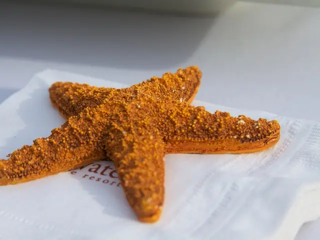 Anatomical Analysis: Roles and Sites of Adipose Tissue