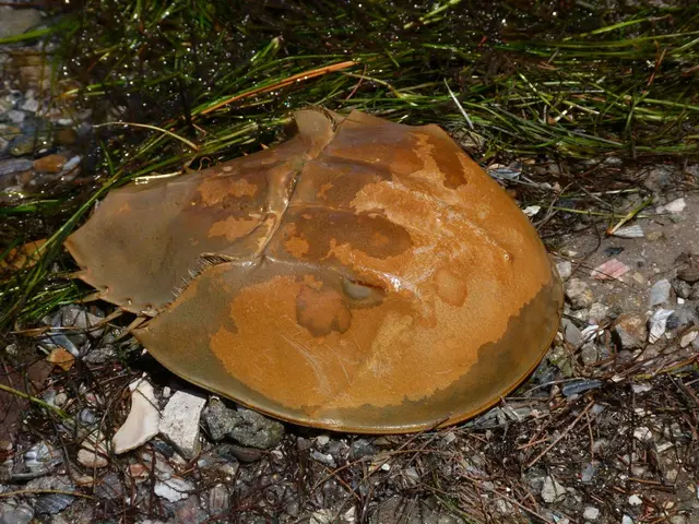 Eliminate Roundworms from Soil: Protect Your Crops, Preserve Your Garden