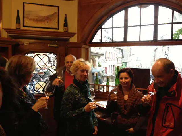 Guidelines for Celebration Enthusiasts