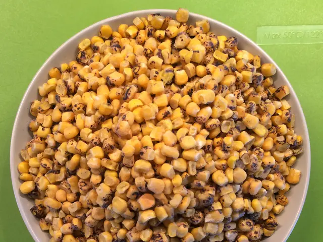 Are Seed Oils Harmful? An Examination of This Controversial Topic
