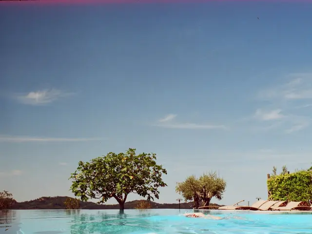 Strategies for Managing Sweltering Summer Days