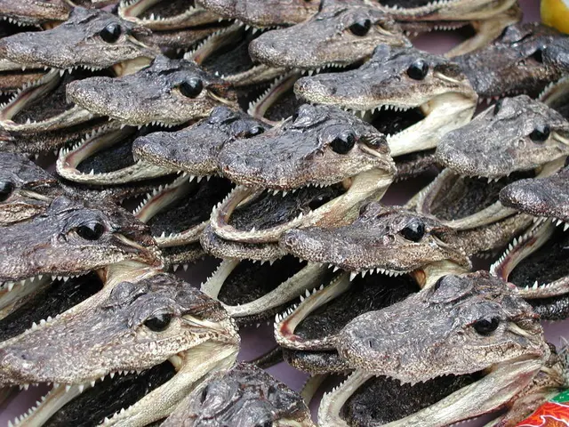 Animal singular openings: An investigation into the common exit point in various animal species,...