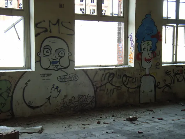 Wall crack wider than a ten-cent piece: Experts warn of potential serious issues