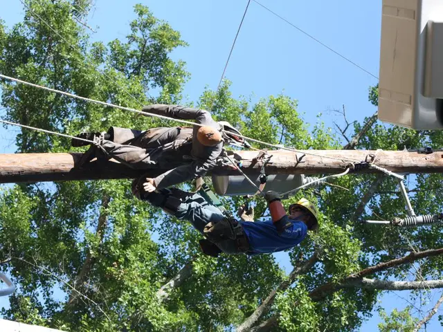 Genetic analysis sheds light on potential triggers for epilepsy