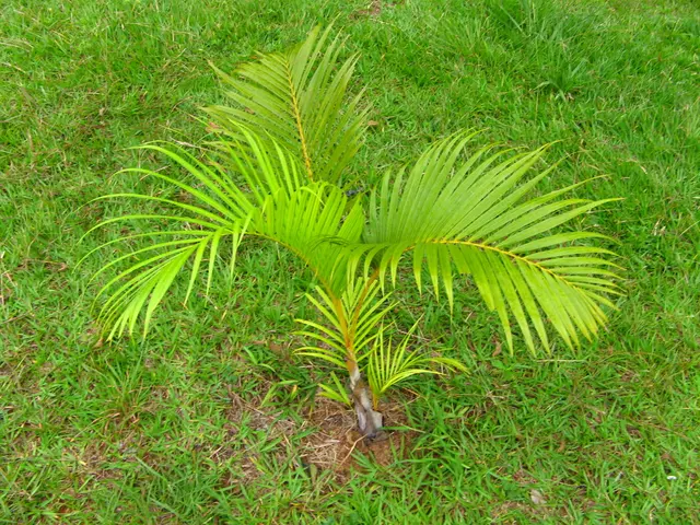 Letter to Defra Regarding Financial Implications of Herbal Leys