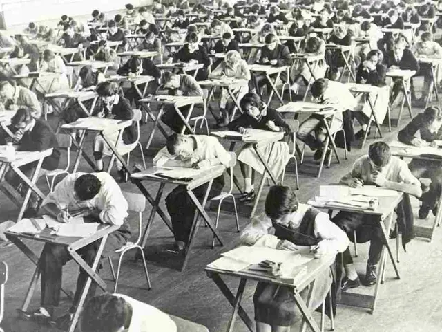 Island Living Setup for a Screenwriter, Enhanced by Artificial Intelligence for a Peaceful...