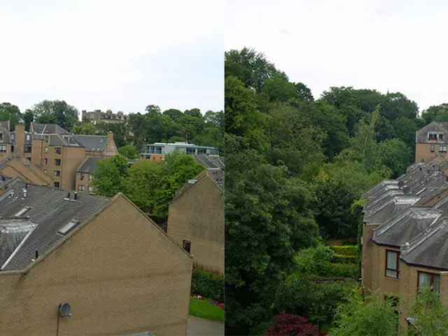 Strategies for Managing Sibling Disputes and Disagreements