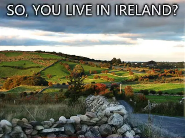 "Researcher expresses confusion about current predicament"