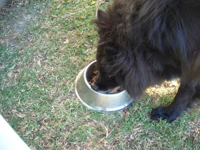 Unveiling the Crucial Insights from the UN Food Systems Summit: A Collaborative Approach to Food...