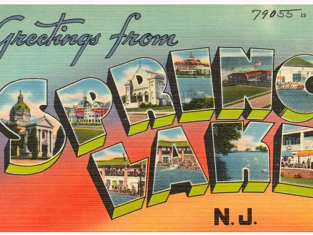 Private power generators in Iraq: A life-saver or an added environmental strain?