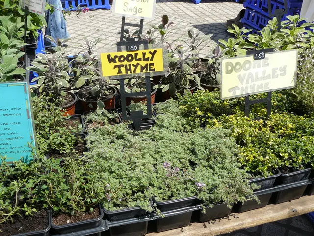 Discussion on California Report: Emphasizing the Advantages of Biologicals Over Chemical Concerns